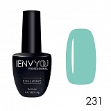   ENVY Exclusive 231, 10